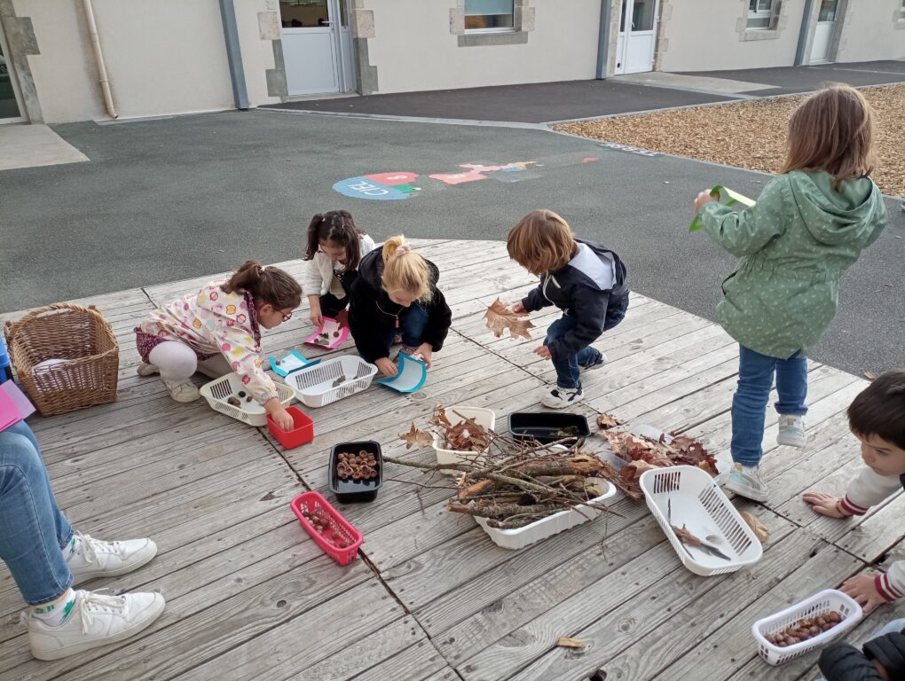 Une récolte d’automne en maternelle
