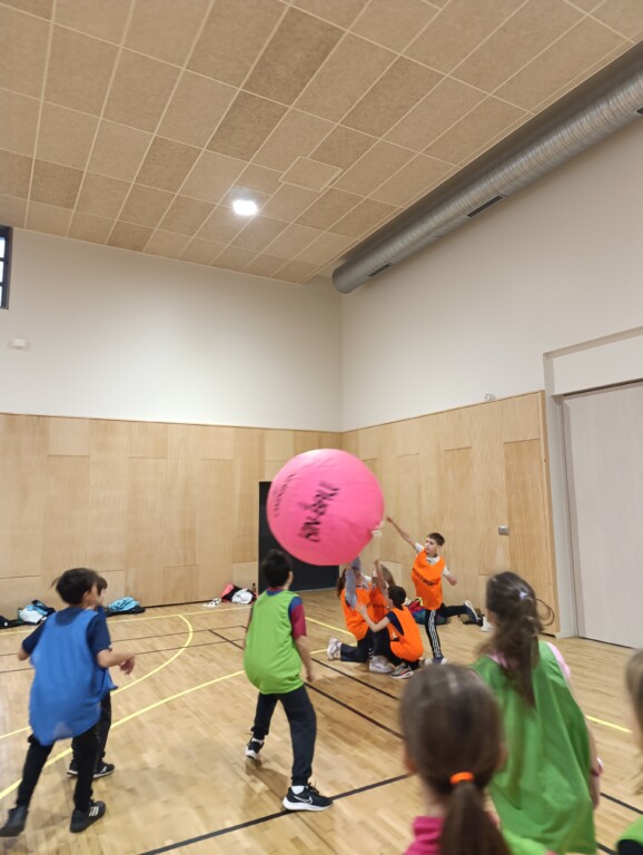 Découverte du Kin-ball pour les élèves de CE-CM1